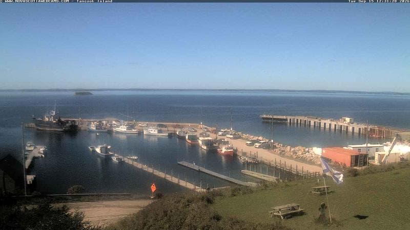 Tancook Island Wharf