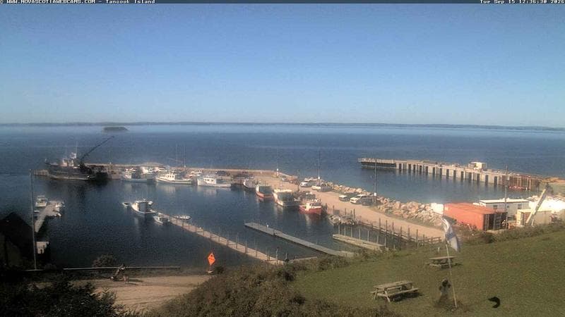 Tancook Island Wharf