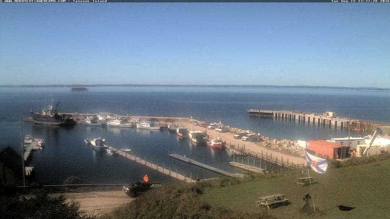 Tancook Island Wharf