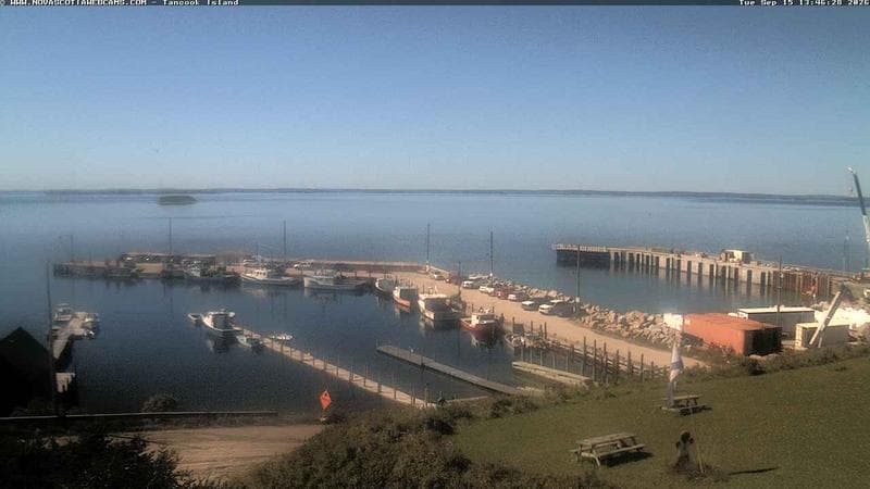 Tancook Island Wharf