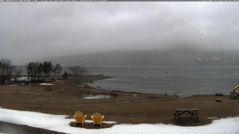 View of the Sea Cottages