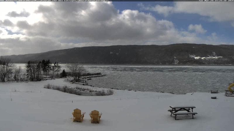 View of the Sea Cottages