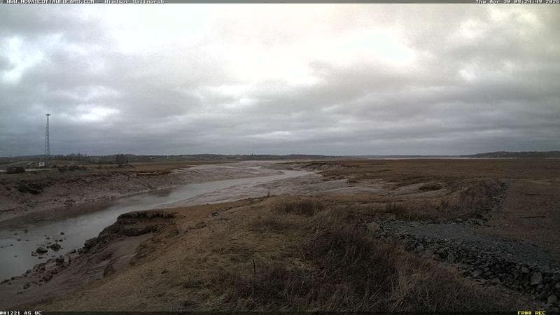 Windsor Salt Marsh
