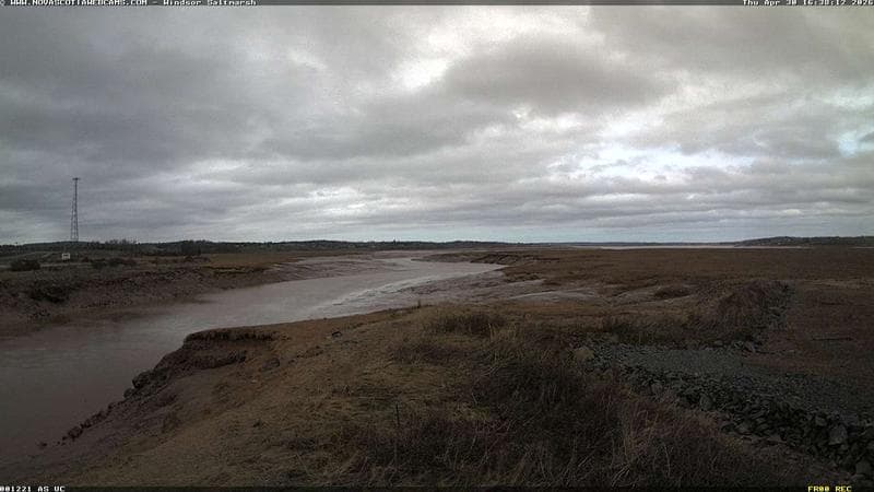Windsor Salt Marsh