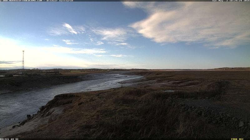 Windsor Salt Marsh