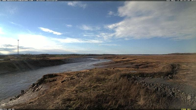 Windsor Salt Marsh