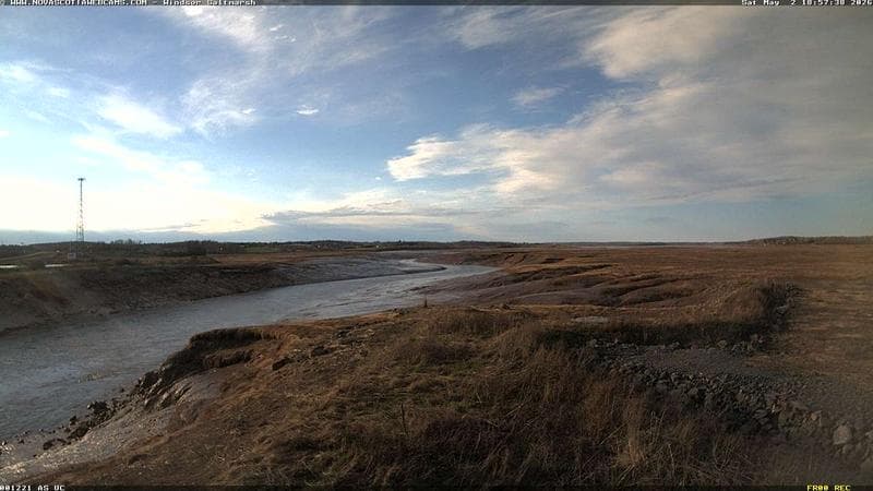 Windsor Salt Marsh