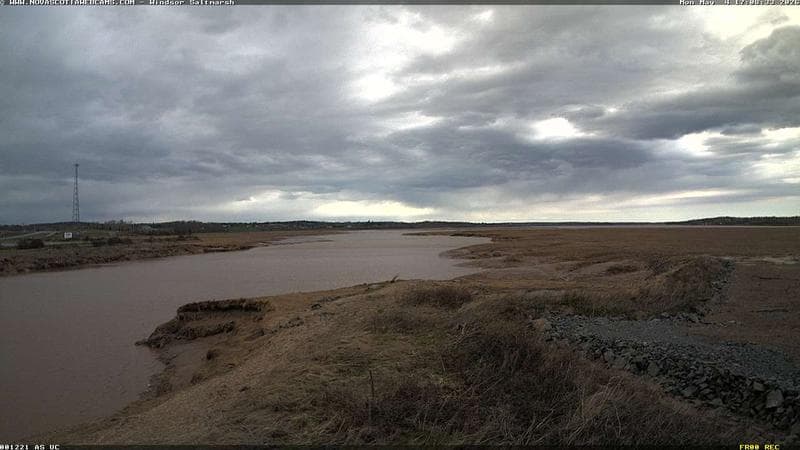 Windsor Salt Marsh