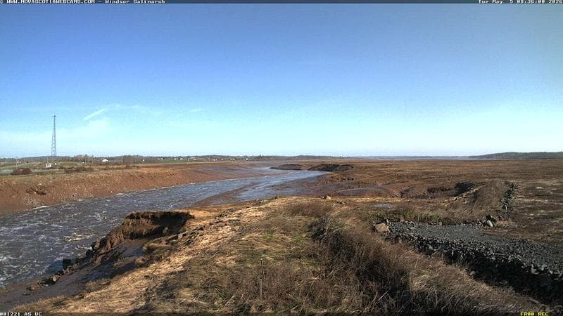 Windsor Salt Marsh