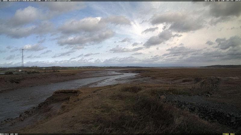 Windsor Salt Marsh