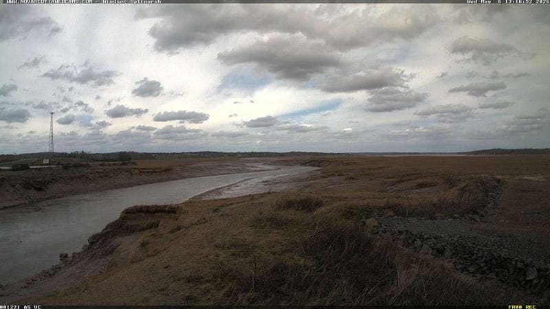 Windsor Salt Marsh