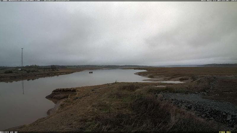 Windsor Salt Marsh