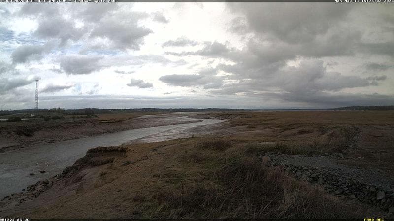 Windsor Salt Marsh