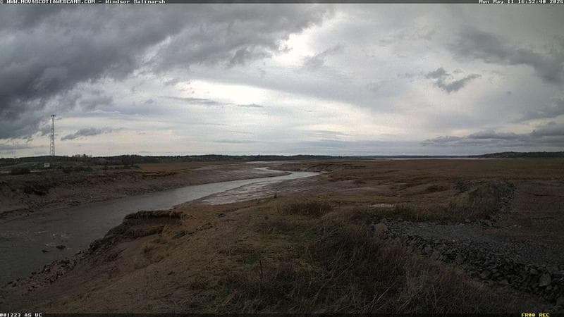 Windsor Salt Marsh