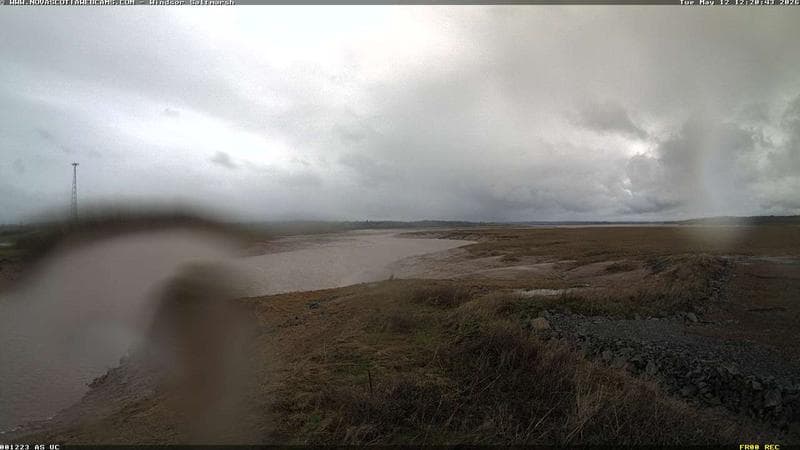 Windsor Salt Marsh