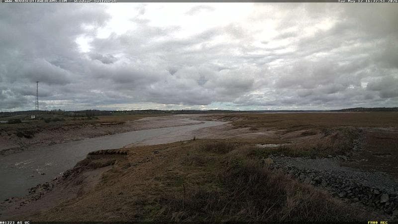 Windsor Salt Marsh