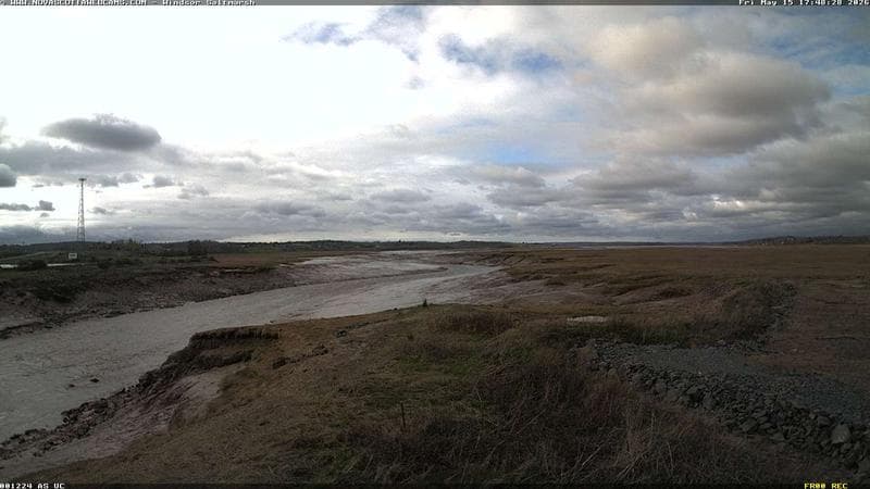 Windsor Salt Marsh