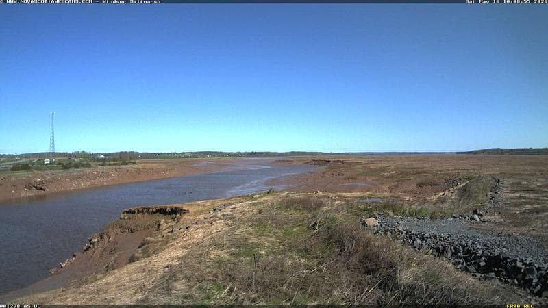 Windsor Salt Marsh