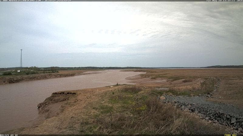 Windsor Salt Marsh