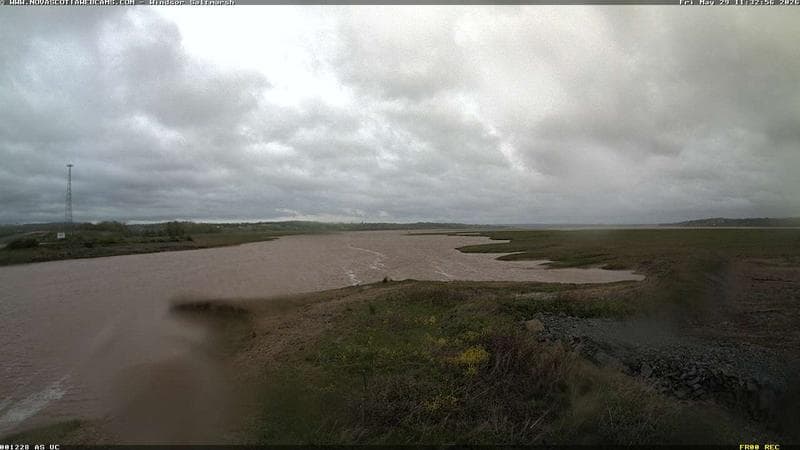 Windsor Salt Marsh