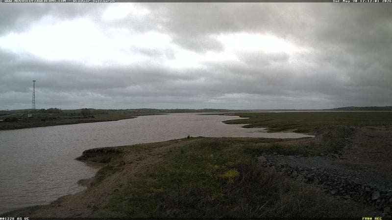Windsor Salt Marsh
