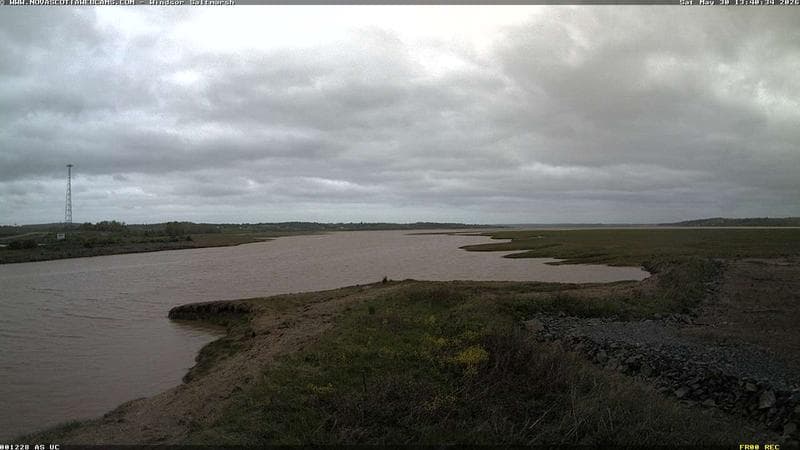 Windsor Salt Marsh