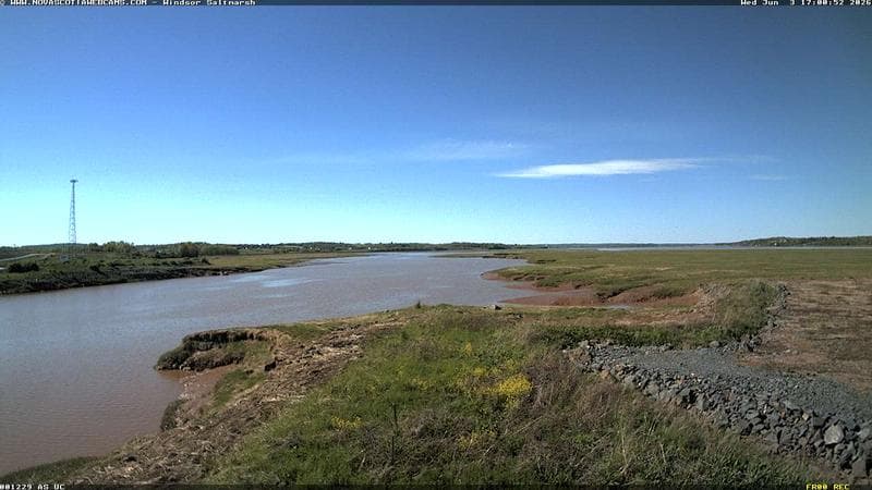 Windsor Salt Marsh