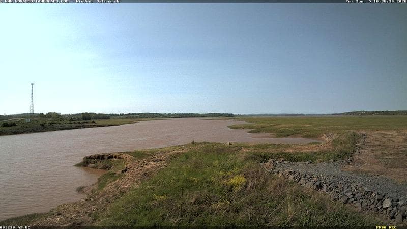 Windsor Salt Marsh