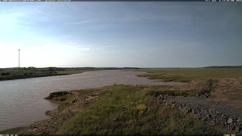Windsor Salt Marsh