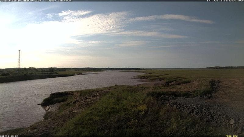 Windsor Salt Marsh