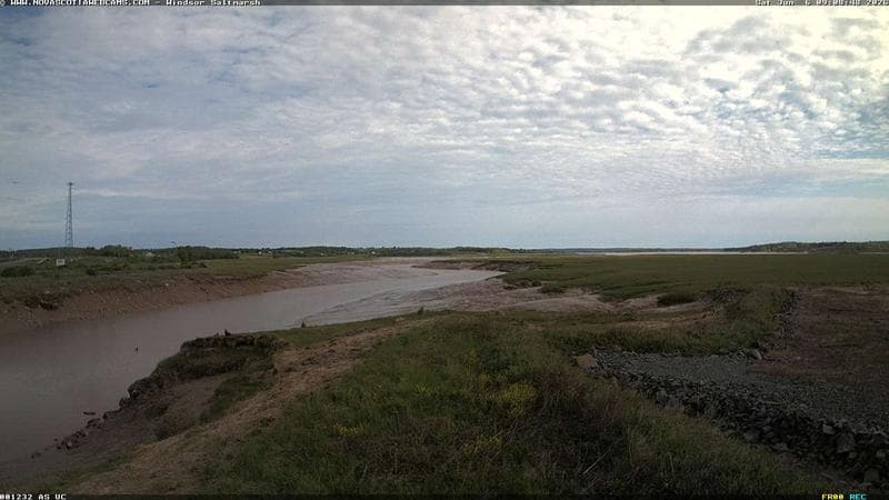 Windsor Salt Marsh