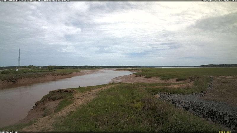 Windsor Salt Marsh