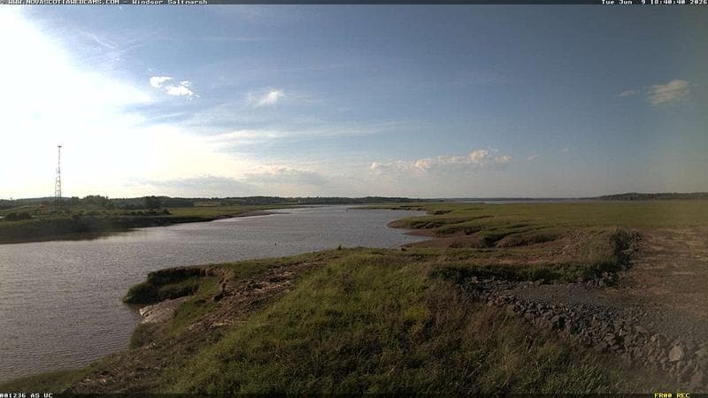 Windsor Salt Marsh