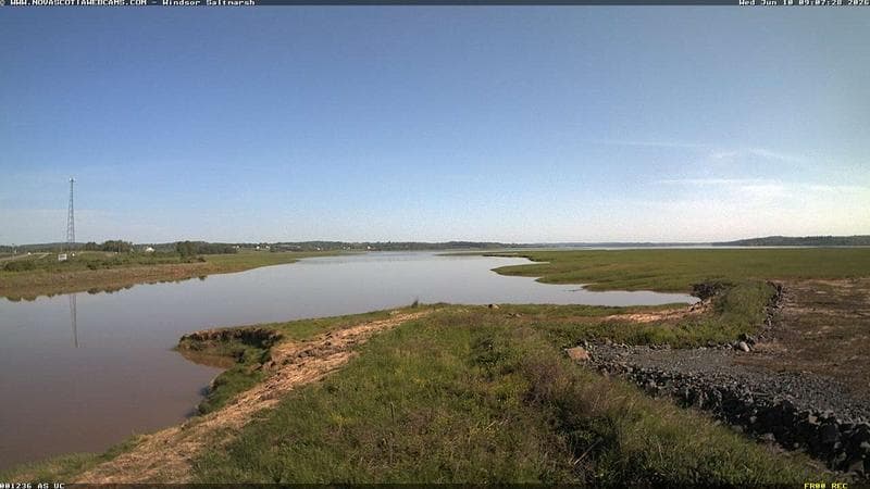 Windsor Salt Marsh
