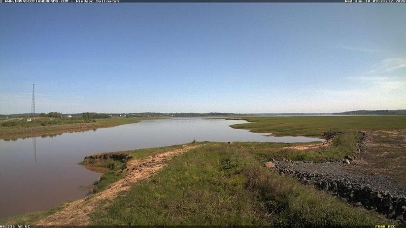 Windsor Salt Marsh