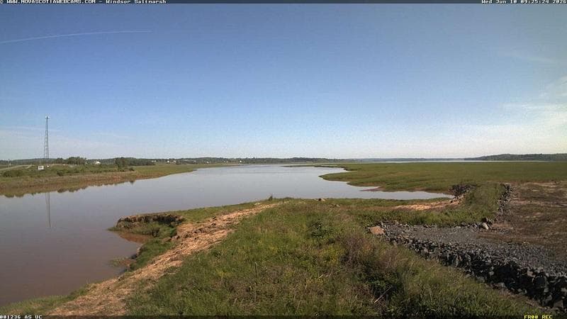 Windsor Salt Marsh