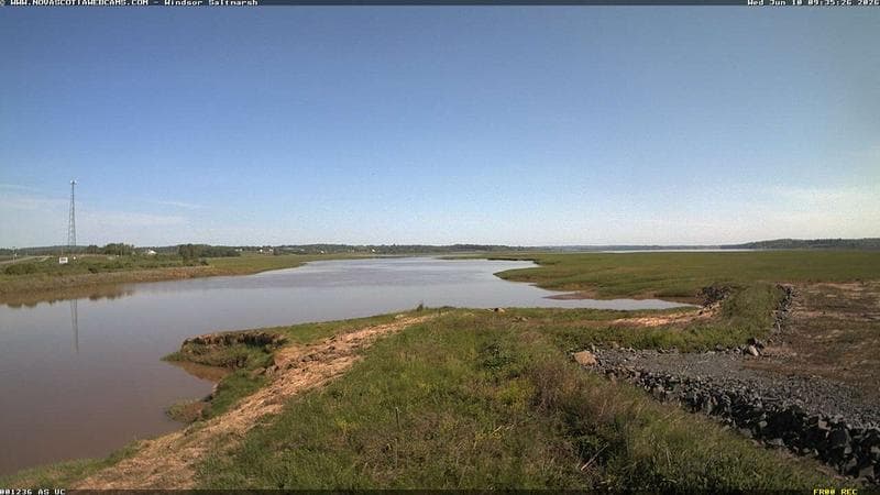 Windsor Salt Marsh