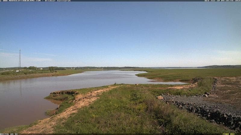 Windsor Salt Marsh
