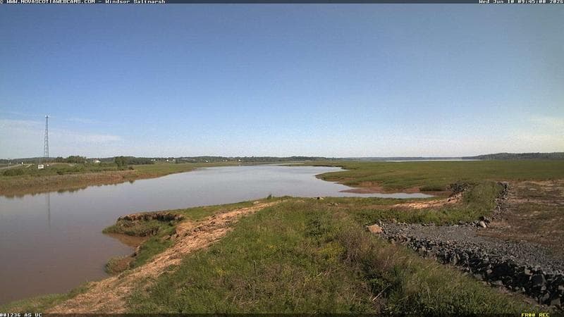 Windsor Salt Marsh