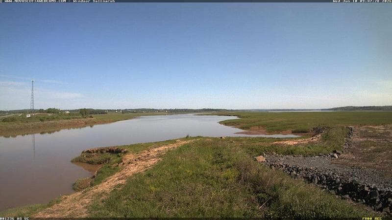 Windsor Salt Marsh