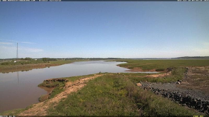 Windsor Salt Marsh