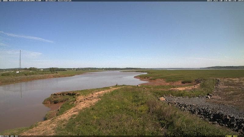 Windsor Salt Marsh