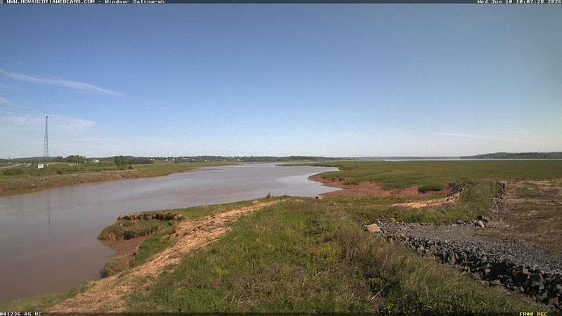 Windsor Salt Marsh