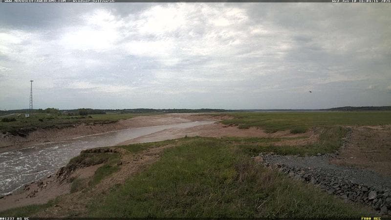 Windsor Salt Marsh