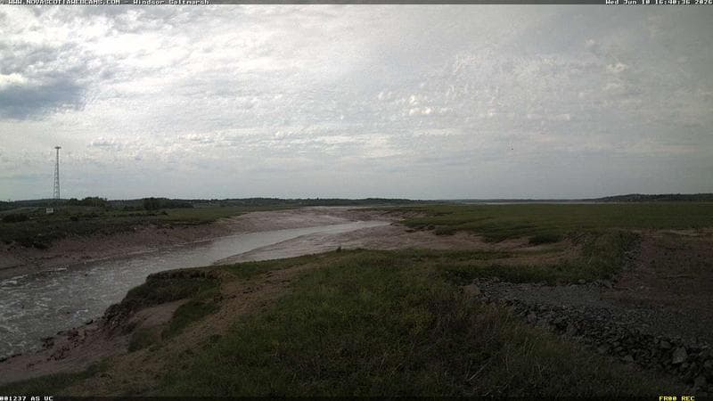 Windsor Salt Marsh