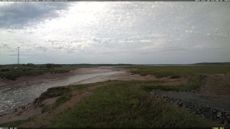 Windsor Salt Marsh