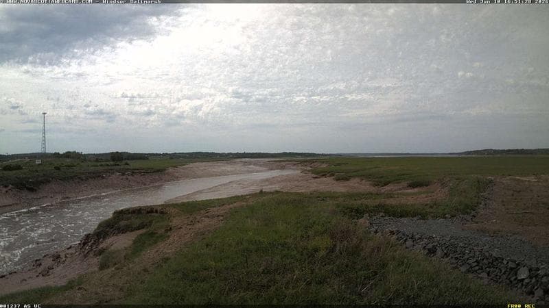 Windsor Salt Marsh