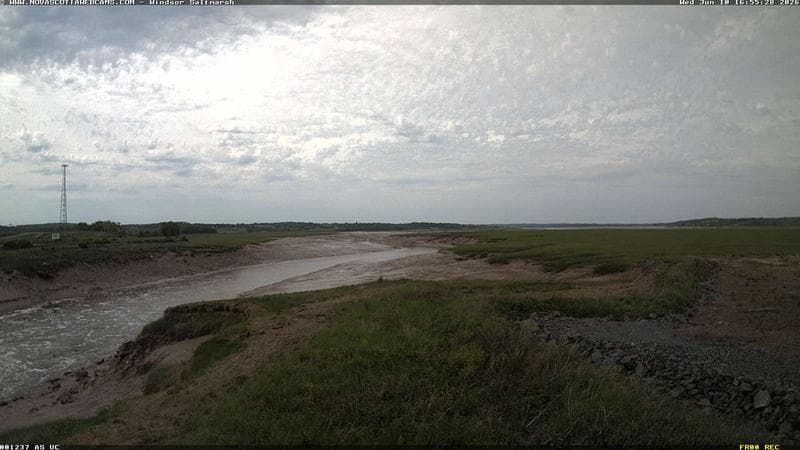 Windsor Salt Marsh