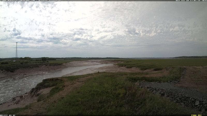 Windsor Salt Marsh
