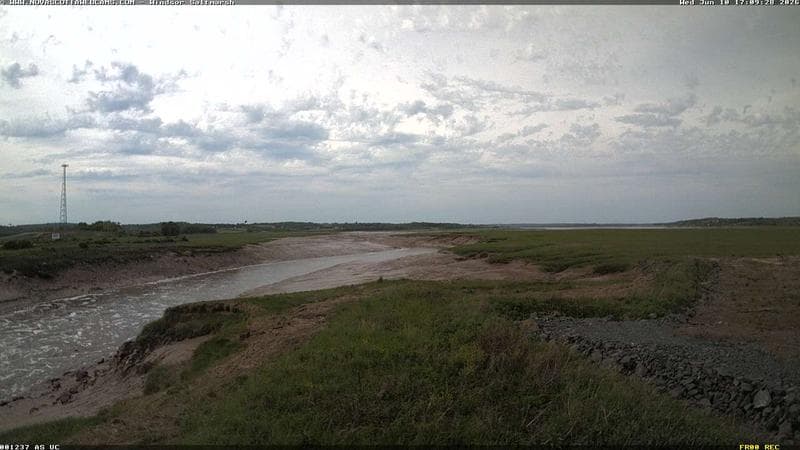 Windsor Salt Marsh